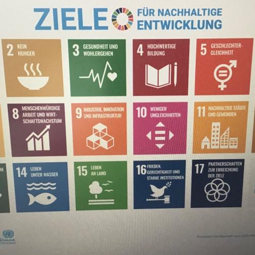 sdg2